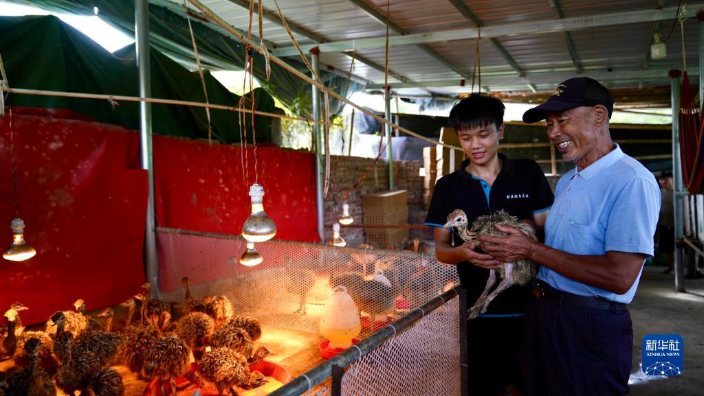 捕鱼游戏赚钱换人民币的网页